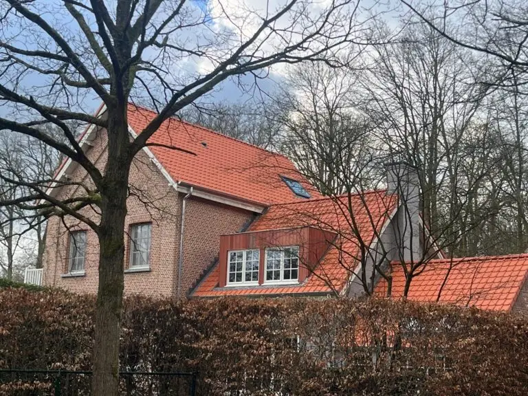 hellend_dak_2